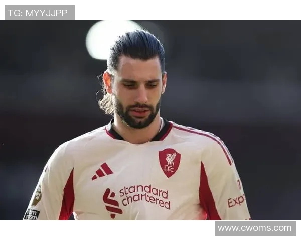 索博斯洛伊的魅力探秘与历史文化深度解析之旅